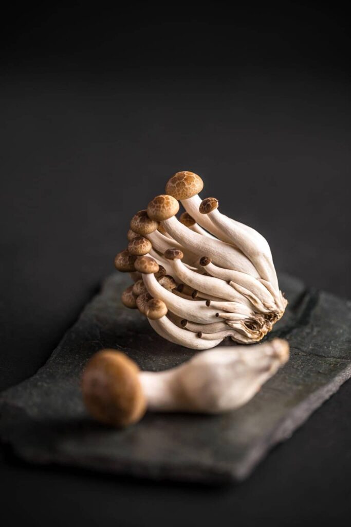 what are shimeji mashroom