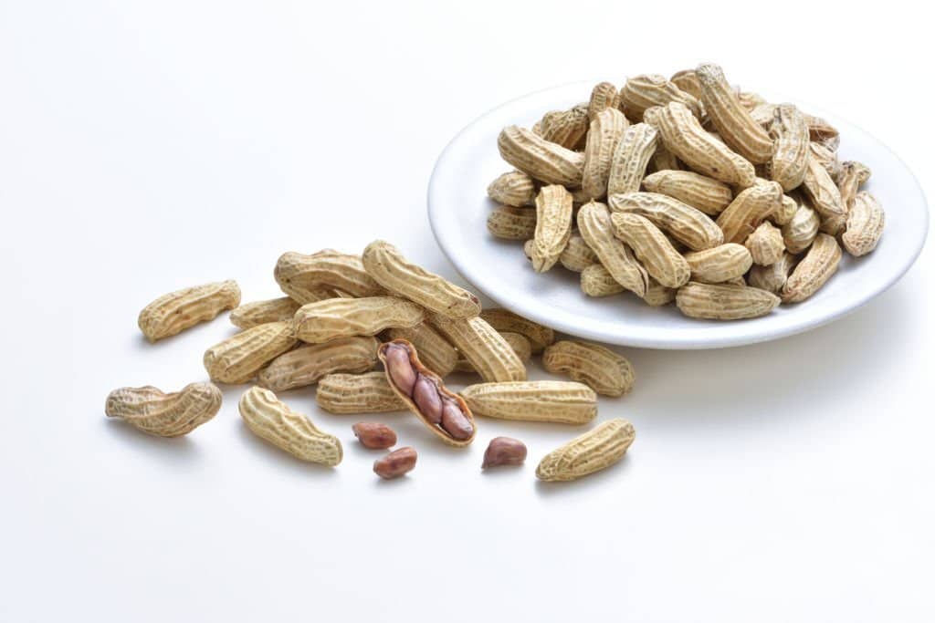 Can You Eat The Shell Of A Peanut