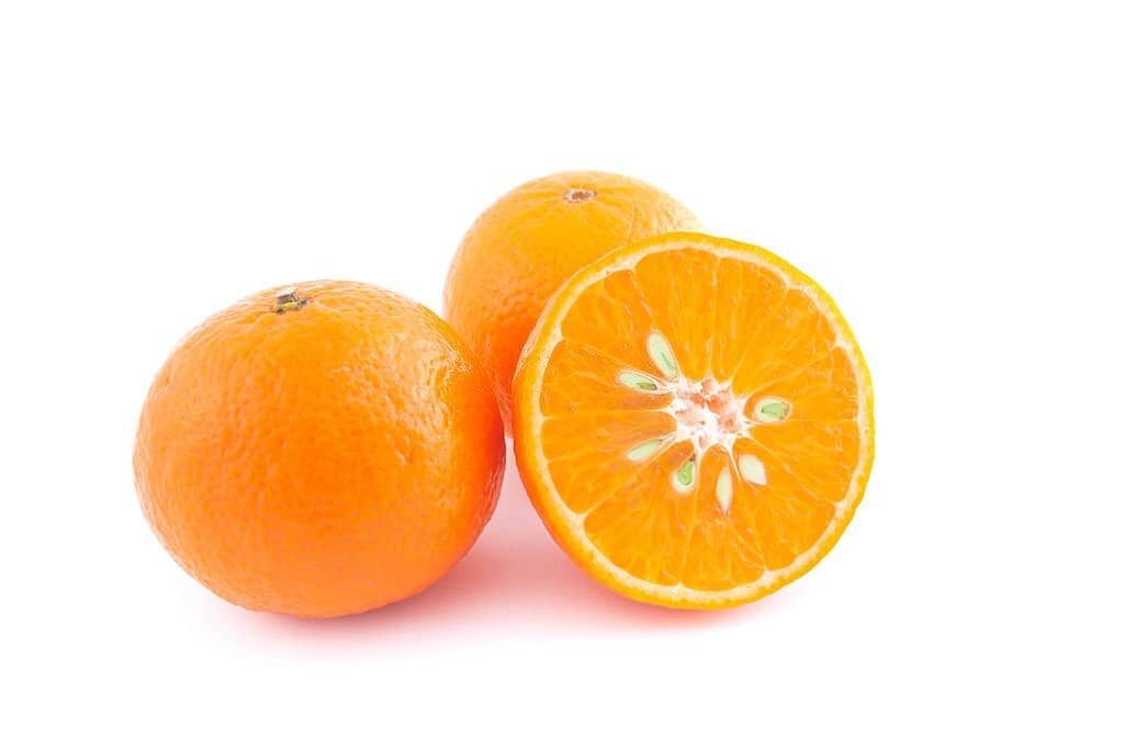 Benefits of Orange Seeds: Unveiling the Hidden Potential