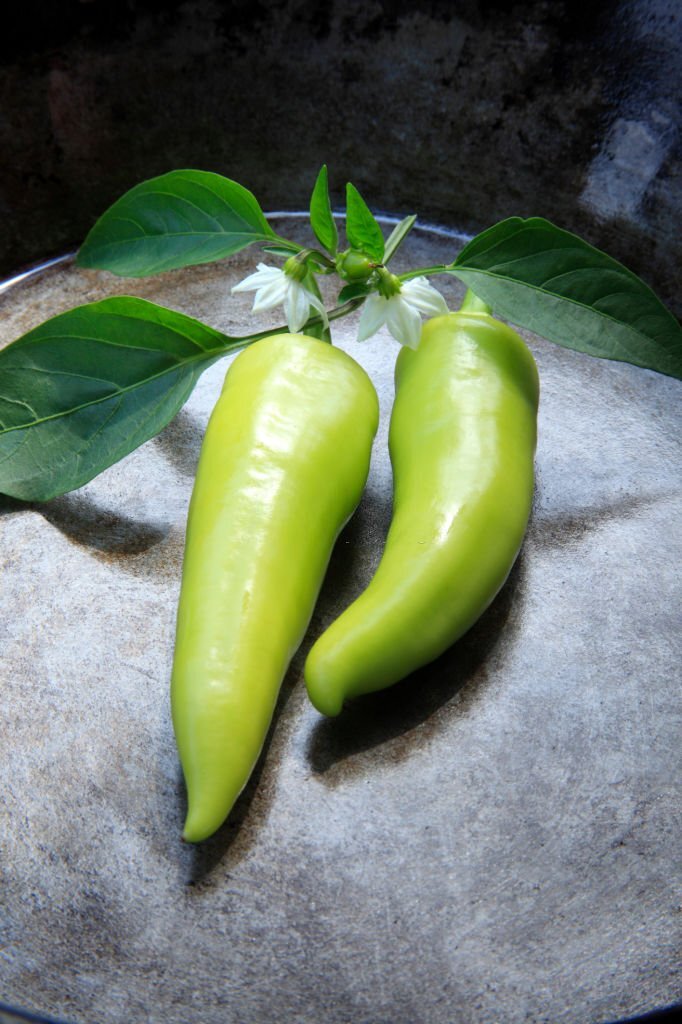 How to Tell If Banana Peppers Are Bad