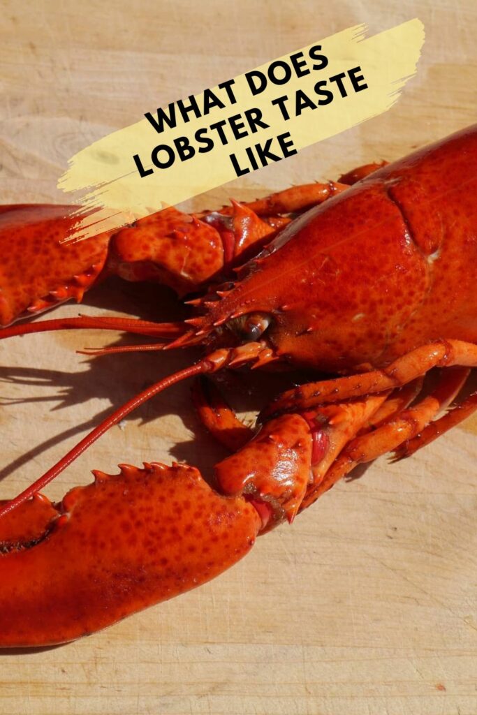 What does lobster taste like