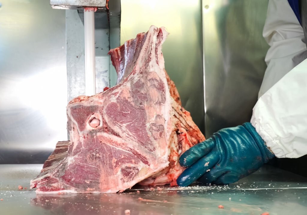 What Does Camel Meat Taste Like